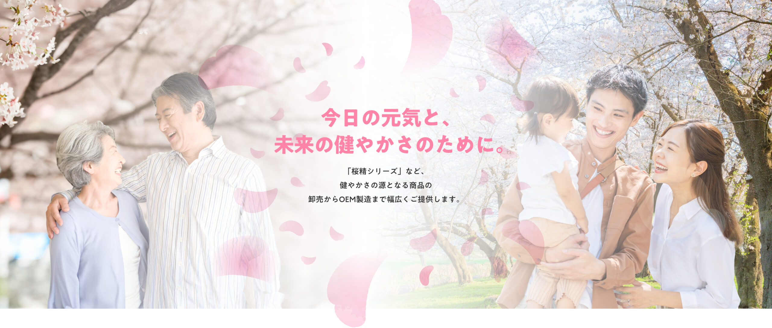 メインビジュアル1